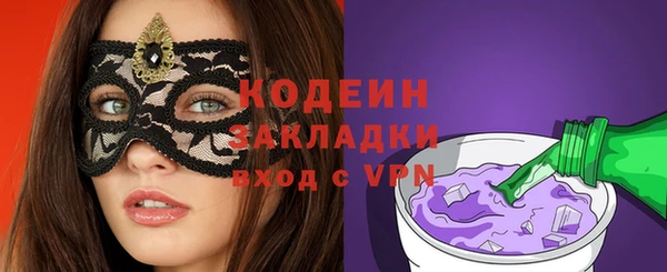 крисы Козельск