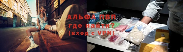 прущий лед Бородино