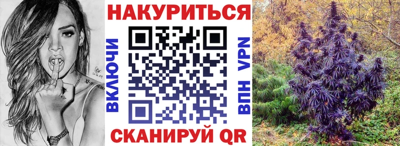Бошки марихуана сатива  Кизилюрт 